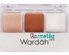 Gambar Concealer Wardah